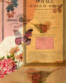 A digital junk journal page of vintage ephemera, flowers and birds