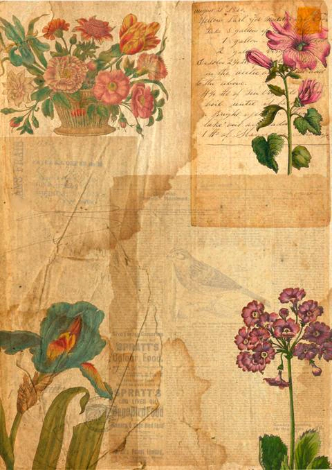 Free A4 junk journal collage sheet 3