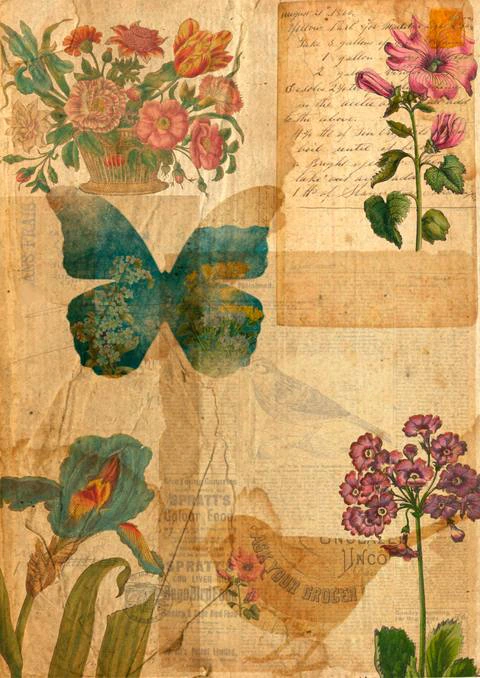 Free A4 junk journal collage sheet 6