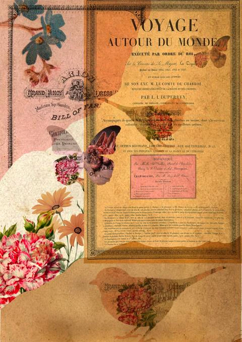 Free A4 junk journal collage sheet 7