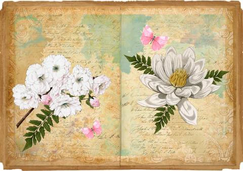 Free A4 junk journal collage sheet 8