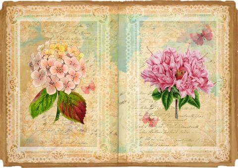 Free A4 junk journal collage sheet 11